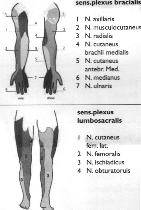 Neuraxiale blokkade 2.png